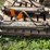 #1624-•-chief-3,000-psi-hydraulic-cylinder-image-1