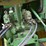 1977-john-deere-4230-image-11