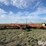 krause-2139-image-2