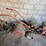 #8768-•-rear-tine-garden-tiller-image-2