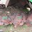 2017-john-deere-r240-image-8