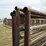 #44943-•-lot-of-(5)-24'-cattle-panels-inv#44943-image-4