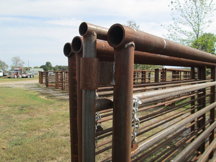 #44943-•-lot-of-(5)-24'-cattle-panels-inv#44943-image-4