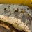 #2480-•-2011-caterplillar-289c-tracked-skid-steer-image-56