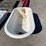 #4051-•-cast-iron-clawfoot-tub-(08)-image-4