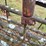 new-idea-401-image-26