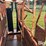 for-most-cattle-working-chute-image-16