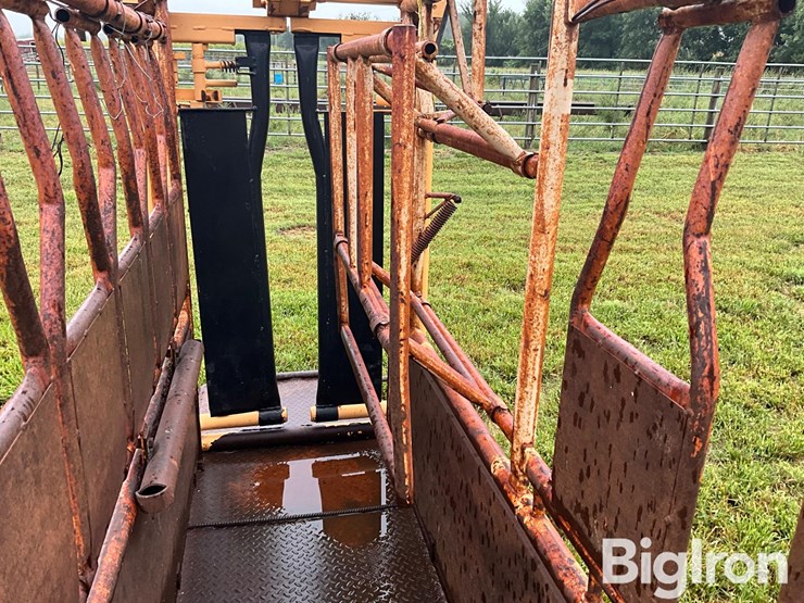 for-most-cattle-working-chute-image-16