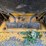 deere-555g-image-32