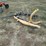 #46050-•-county-line-10"-3pt-post-hole-auger-inv#46050-image-1