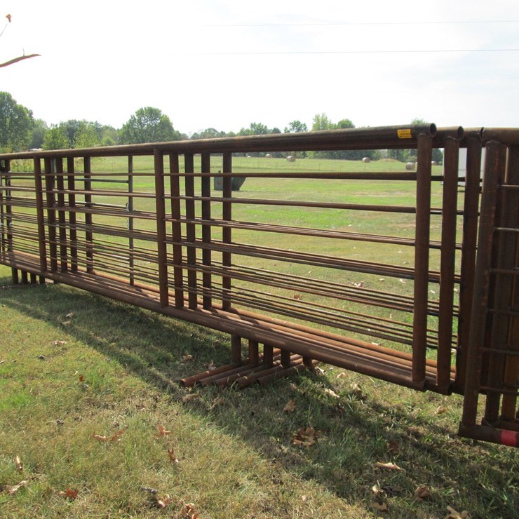 #44941 • Lot of (5) 24' Cattle Panels INV#44941