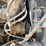 1994-mack-ch613-image-25