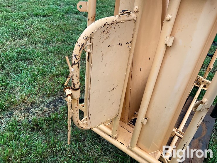 for-most-calf-working-chute-image-18