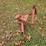 #25271-•-3-point-attachment-plow-image-8
