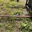 #1616-•-skid-steer-mount-bail-speer-image-8