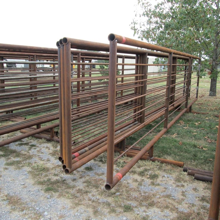#46123 • Lot of (5) 24' Cattle Panels INV#46123