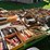 #8000-•-live-on-the-ground-only-items-image-52