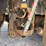 2017-freightliner-m2-106-image-41