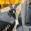 #2486-•-2015-case-570nep-skip-loader-image-60