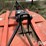 3-pt-rotary-mower-image-13