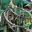 1998-john-deere-8400t-image-9
