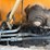 #2486-•-2015-case-570nep-skip-loader-image-49