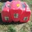 #50156-•-lot-of-(3)-unused-5-gallon-gas-cans-inv#50156-image-2