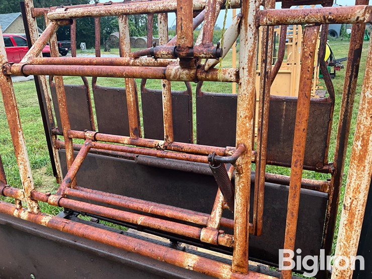 for-most-cattle-working-chute-image-13