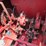 case-ih-sbx540-image-19