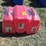 #50157-•-lot-of-(3)-unused-5-gallon-gas-cans-inv#50157-image-2