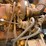 #2486-•-2015-case-570nep-skip-loader-image-77