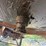 #2946-•-1996-46'-log-trailer-image-8