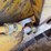 deere-555g-image-81