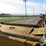 massey-ferguson-40-image-21