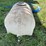 #1634-•-125-gallon-poly-tank-image-4