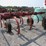 massey-ferguson-129-image-1