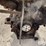 cummins-n14-celect-plus-engine-image-15