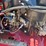 #1919-•-toro-39519-stand-on-aerator-image-20