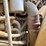 2010-caterpillar-980h-image-88