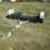 #50135-•-s/a-aluminum-car-dolly-l0hsh001xh5001540-inv#50135-image-1