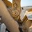2018-caterpillar-980m-image-26