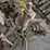 #8778-•-pump,-gear-box,-&-misc-items-image-4