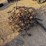 #8213-•-10’-chain-drag-image-2