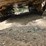 deere-555g-image-58