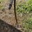 #1618-•-buhler-hydraulic-jump-auger-image-12