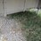 2017-wilson-psdcl-402-image-20