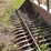 #1613-•-skid-steer-rock-bucket-image-9