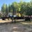 #2946-•-1996-46'-log-trailer-image-1