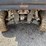 #6097-•-coleman-utv-image-11