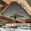 cedarapids-lj-tsv-image-94
